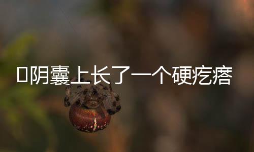 阴囊上长了一个硬疙瘩怎么办