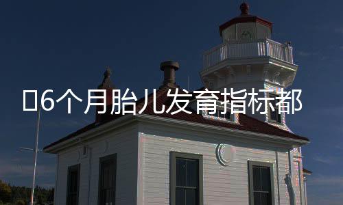 ​6个月胎儿发育指标都有什么