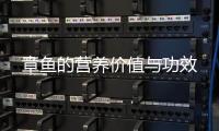 章鱼的营养价值与功效