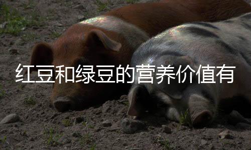 红豆和绿豆的营养价值有哪些