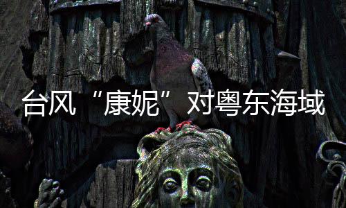台风“康妮”对粤东海域风浪影响较大,广东强化防风避险措施