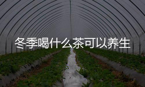 冬季喝什么茶可以养生