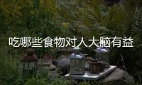 吃哪些食物对人大脑有益？