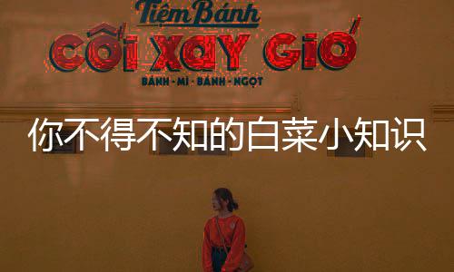你不得不知的白菜小知识