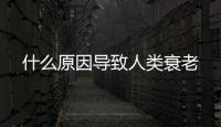 什么原因导致人类衰老