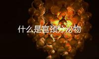 什么是宫颈分泌物