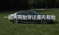 一般先有胎芽还是先有胎心