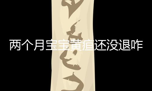 两个月宝宝黄疸还没退咋办
