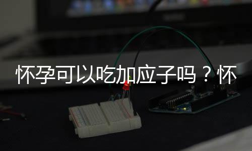 怀孕可以吃加应子吗？怀孕吃什么比较好