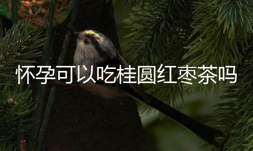 怀孕可以吃桂圆红枣茶吗?怀孕吃什么比较好