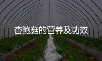 杏鲍菇的营养及功效