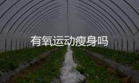 有氧运动瘦身吗