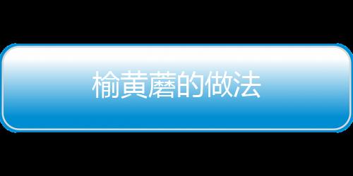 榆黄蘑的做法