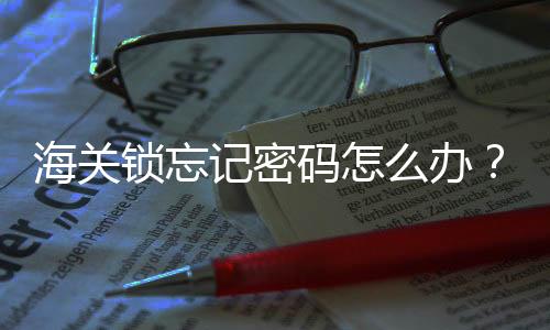 海关锁忘记密码怎么办?海关锁怎么用?