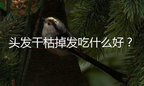 头发干枯掉发吃什么好?六类护发食物盘点