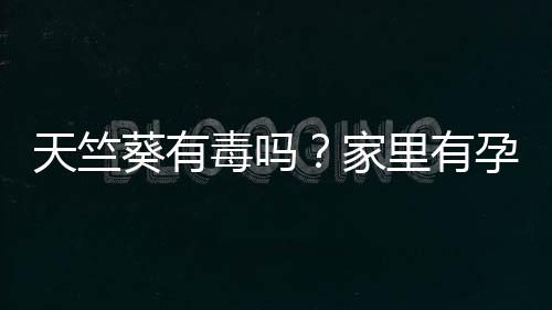 天竺葵有毒吗?家里有孕妇能养天竺葵吗?
