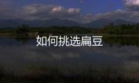 如何挑选扁豆