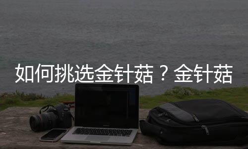 如何挑选金针菇？金针菇的挑选方法