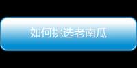 如何挑选老南瓜