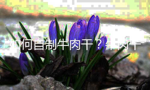 如何自制牛肉干?牛肉干的做法