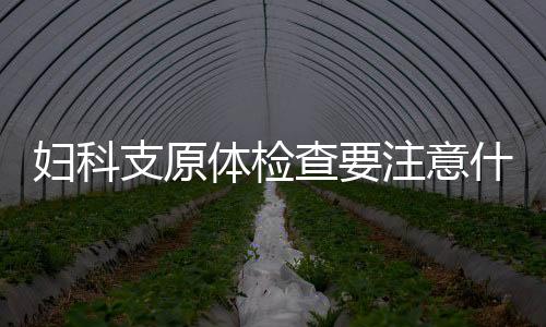 妇科支原体检查要注意什么