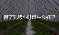 得了乳腺小叶增生会好吗