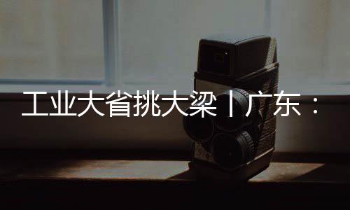 工业大省挑大梁丨广东:向新求变 从“压舱石”到“顶梁柱”