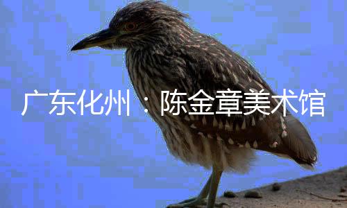广东化州:陈金章美术馆及美术教育基地启用