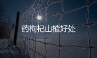药枸杞山楂好处