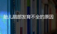 胎儿脑部发育不全的原因