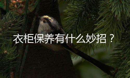 衣柜保养有什么妙招?