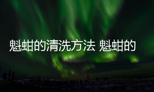 魁蚶的清洗方法 魁蚶的做法