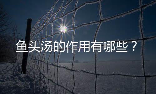 鱼头汤的作用有哪些？